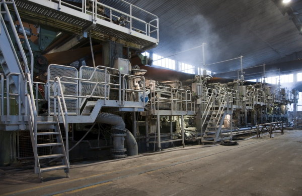 Los rodamientos TL de NSK doblan la vida útil en maquinaria del sector de la fabricación de papel